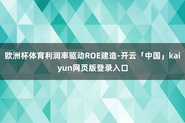 欧洲杯体育利润率驱动ROE建造-开云「中国」kaiyun网页版登录入口